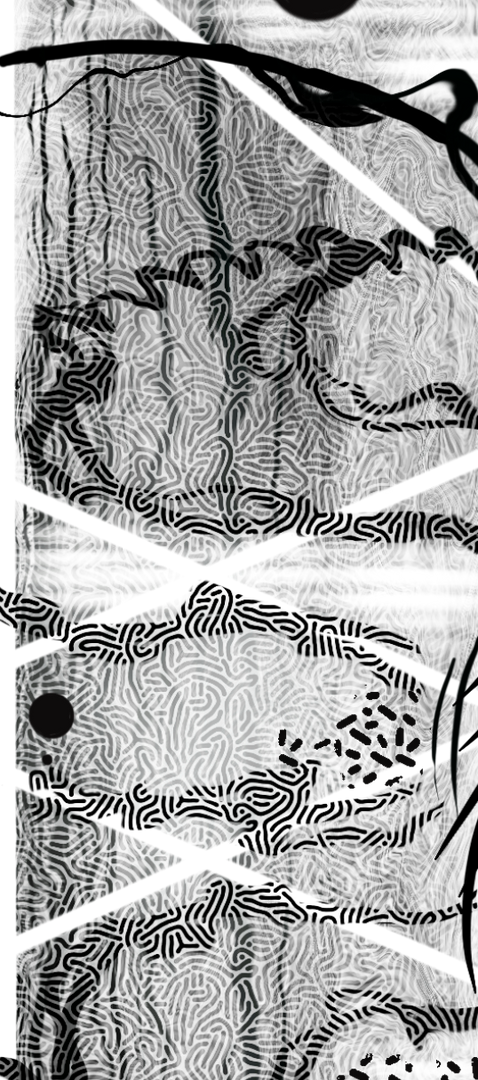 Cover_Page_Graphic_Bottom_RGB_edited_edi