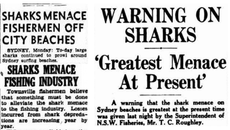 The ‘Shark Plague’ Myth: A Century-Old Narrative That Refuses to Die