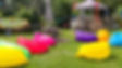 H&G Garden.jpg