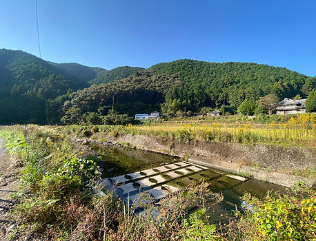 高知県 亀ノ川川