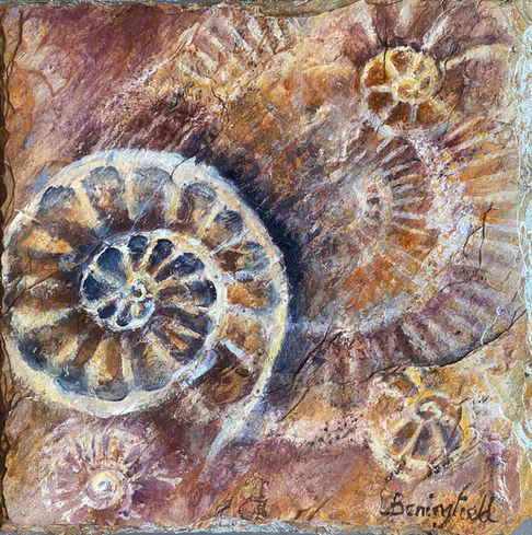 Donna Beningfield Townsville Artist