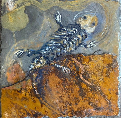 Donna Beningfield Townsville Artist