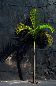 view-palm-tree-species-with-green-foliage.jpg