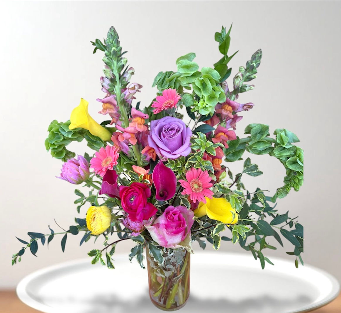 Premium Designer's Choice