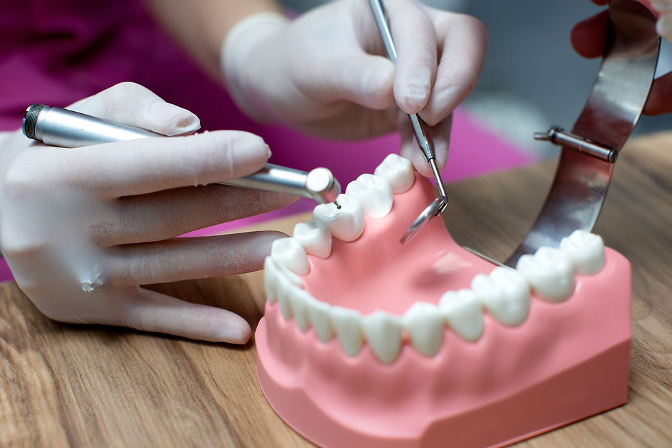 nurse-practicing-layout-jaw-with-teeth.jpg