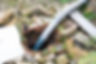 before-after-pipe-BTFg_dXI.png