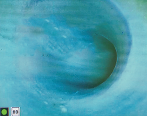 Screenshot 2026-04-24 150428.png