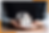 Frame 2147225367.png