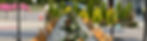 harvest-dinner-table.jpg