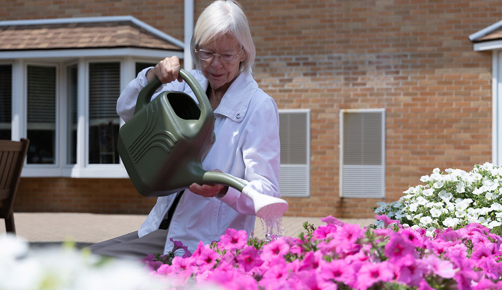 watering flowers