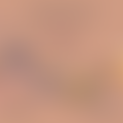 Farming the Future – the first three years.