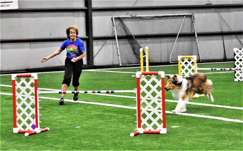 Fall 2022 Agility Trial (20).JPG