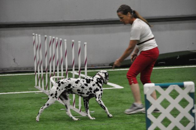 Summer 2022 Agility Trial (025).JPG