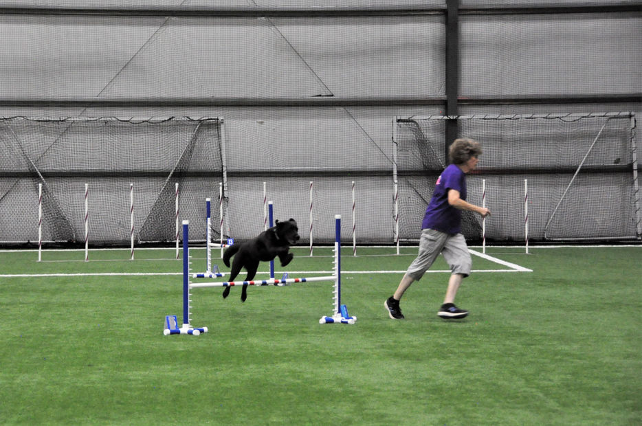 Summer 2023 Agility Trial (66).JPG