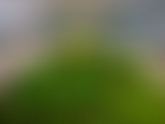 How green was my thumb?