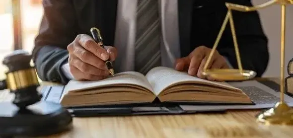 attorney-reading-law-code-studying-600w-2209439875-transformed.webp
