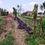Thumbnail: Jual Tanah Sangat Luas Cocok Untuk Industri/Pergudangan, Bisa Akses Mobil Besar,