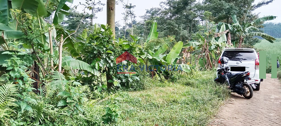 Thumbnail: Tanah Sekarmojo Pasuruan, 2 Menit Ke Kebun Pak Budi, 600 ribuan per m2