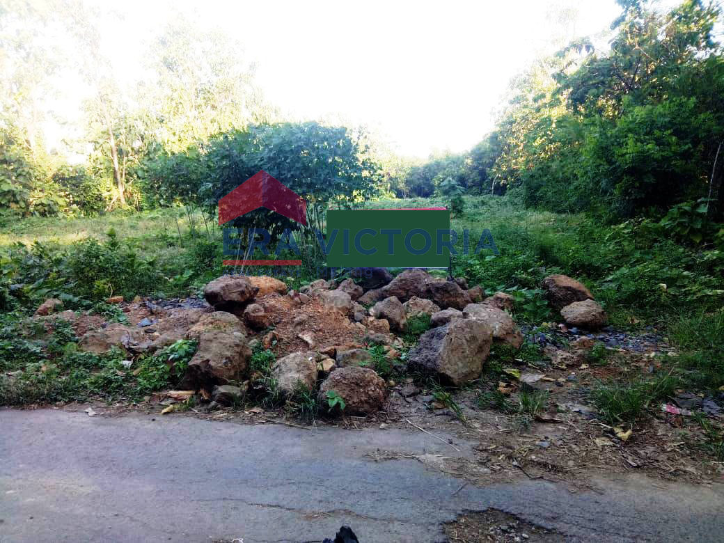 Tanah Luas Di Manyaran, Kediri, Jalan Sudah Aspal, Strategis