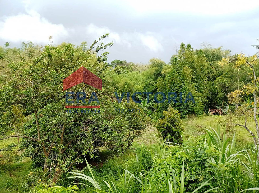 Thumbnail: Dijual Cepat Harga Nego, Tanah Luas Dengan View Cantik Di Jalan Protokol Batu