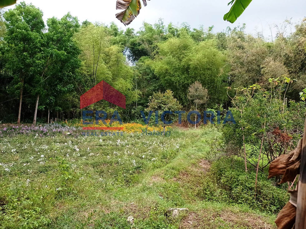 Thumbnail: Dijual Cepat Harga Nego, Tanah Luas Dengan View Cantik Di Jalan Protokol Batu