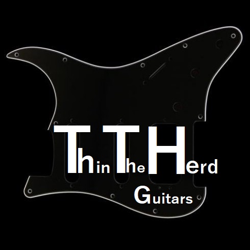 Affordable Custom Guitars Custom Build Guitars