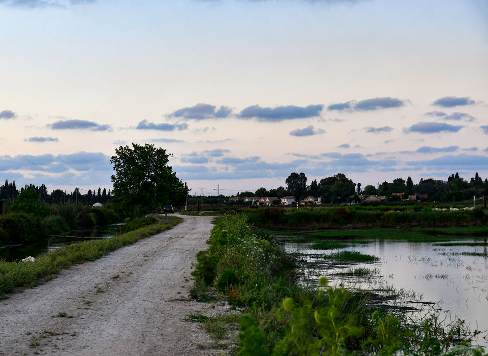 Nature-38.jpg