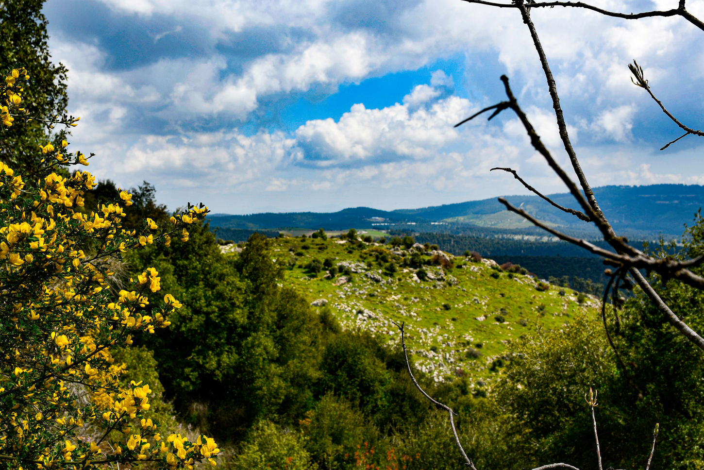 Nature-30.jpg