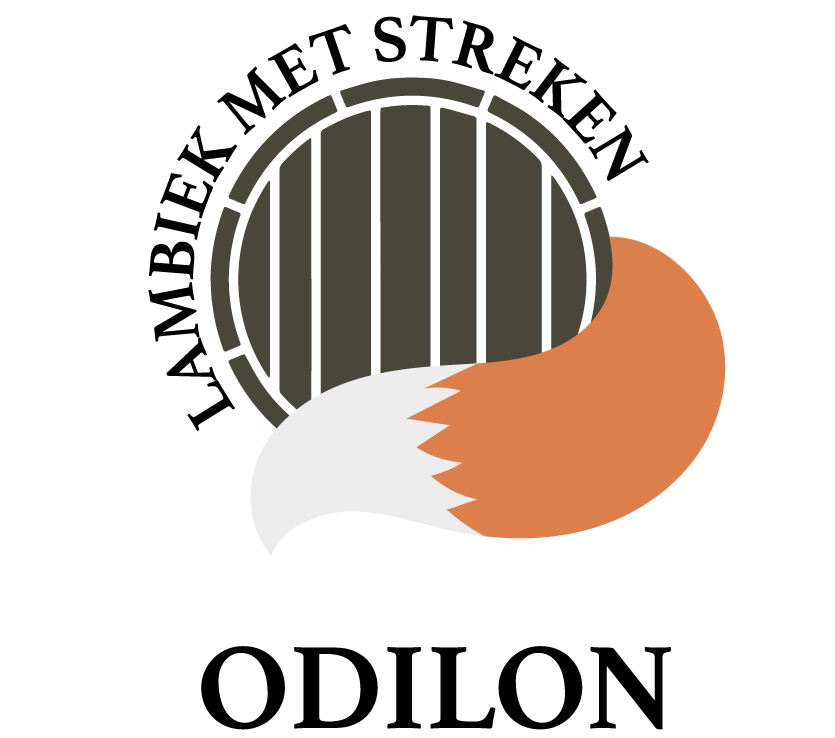 Odilon_logo_Secundair-01.png