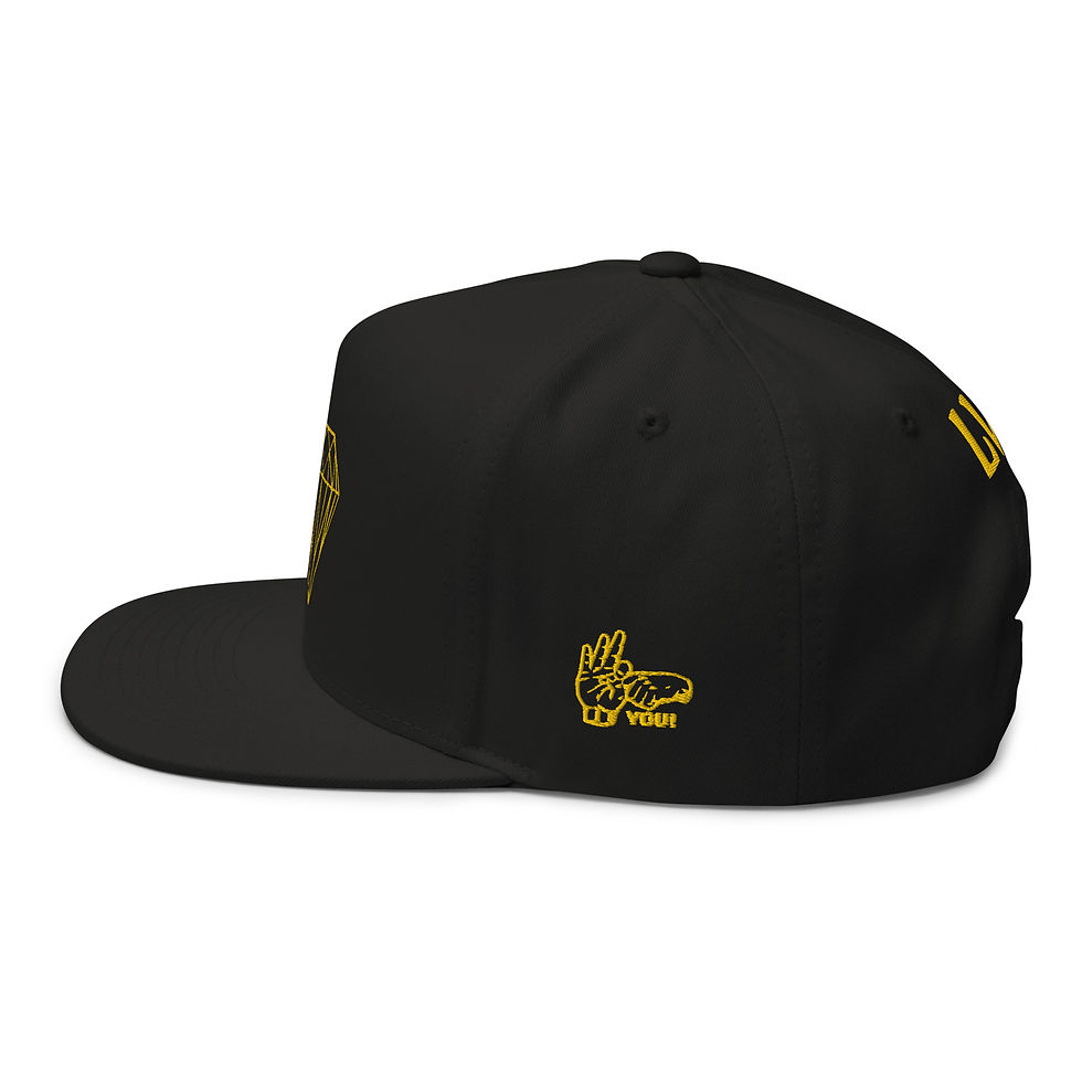 Miniaturbild: LVX_F** Flat Bill Cap