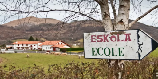 Le Figaro - Tradition, excellence académique, opportunités professionnelles... Les raisons du succès de l’apprentissage d’une langue régionale