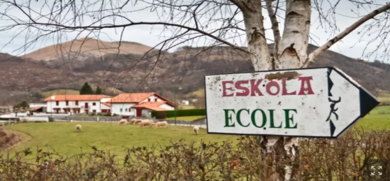 Le Figaro - Tradition, excellence académique, opportunités professionnelles... Les raisons du succès de l’apprentissage d’une langue régionale