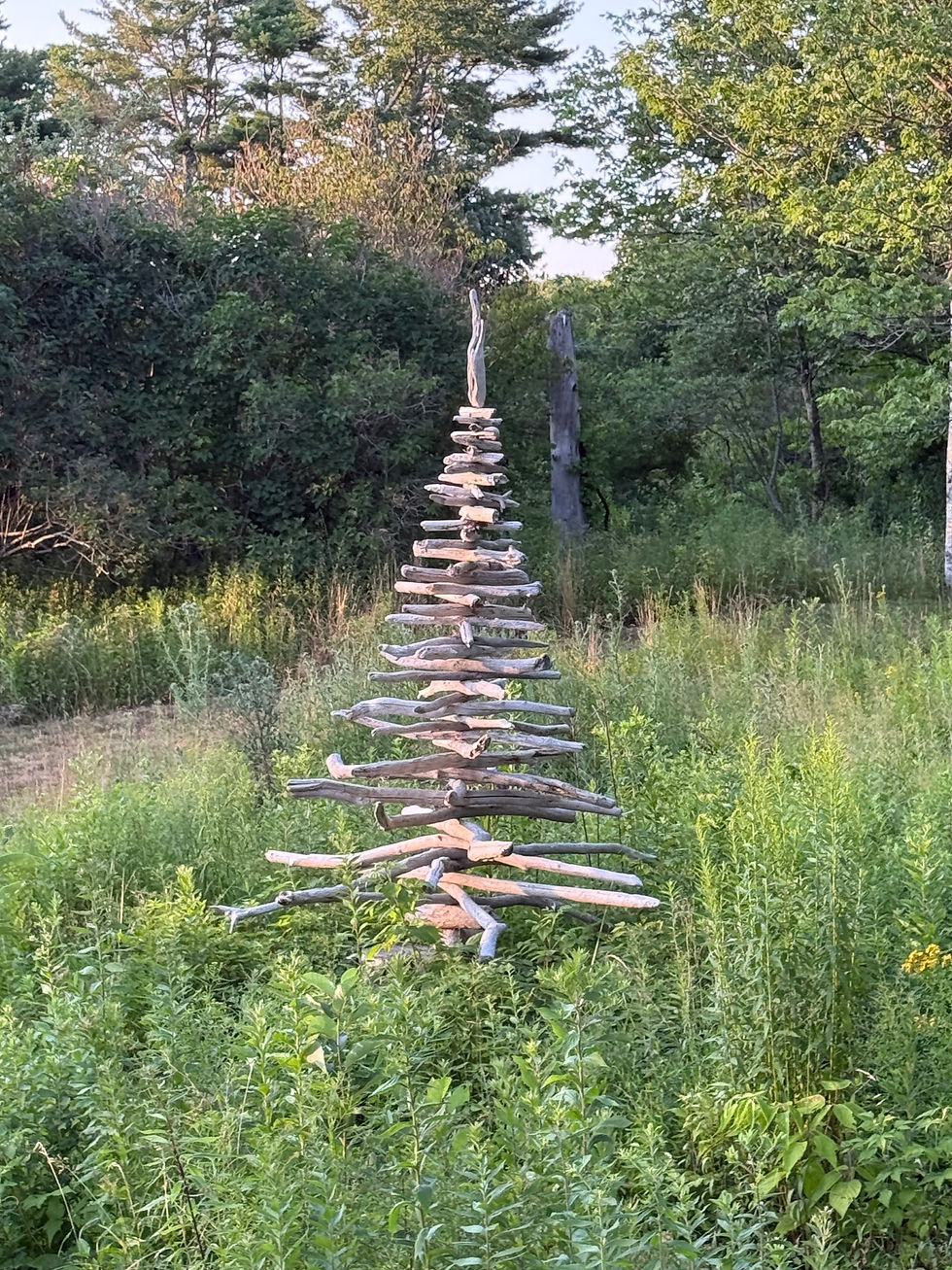 They had a driftwood tree in their yard too