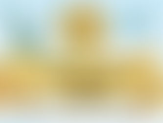 November Recap & COTM