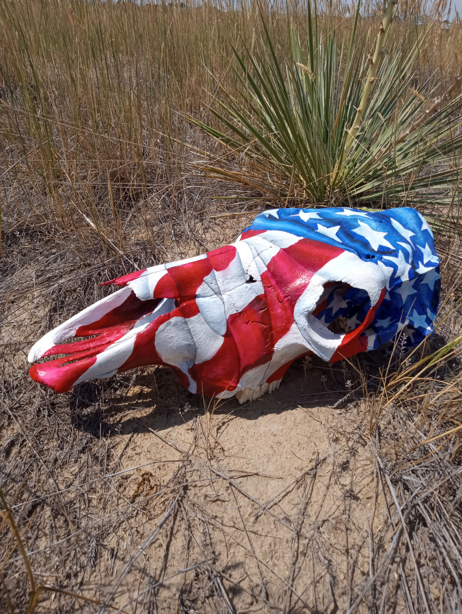 Hand painted U.S. flag cow skull