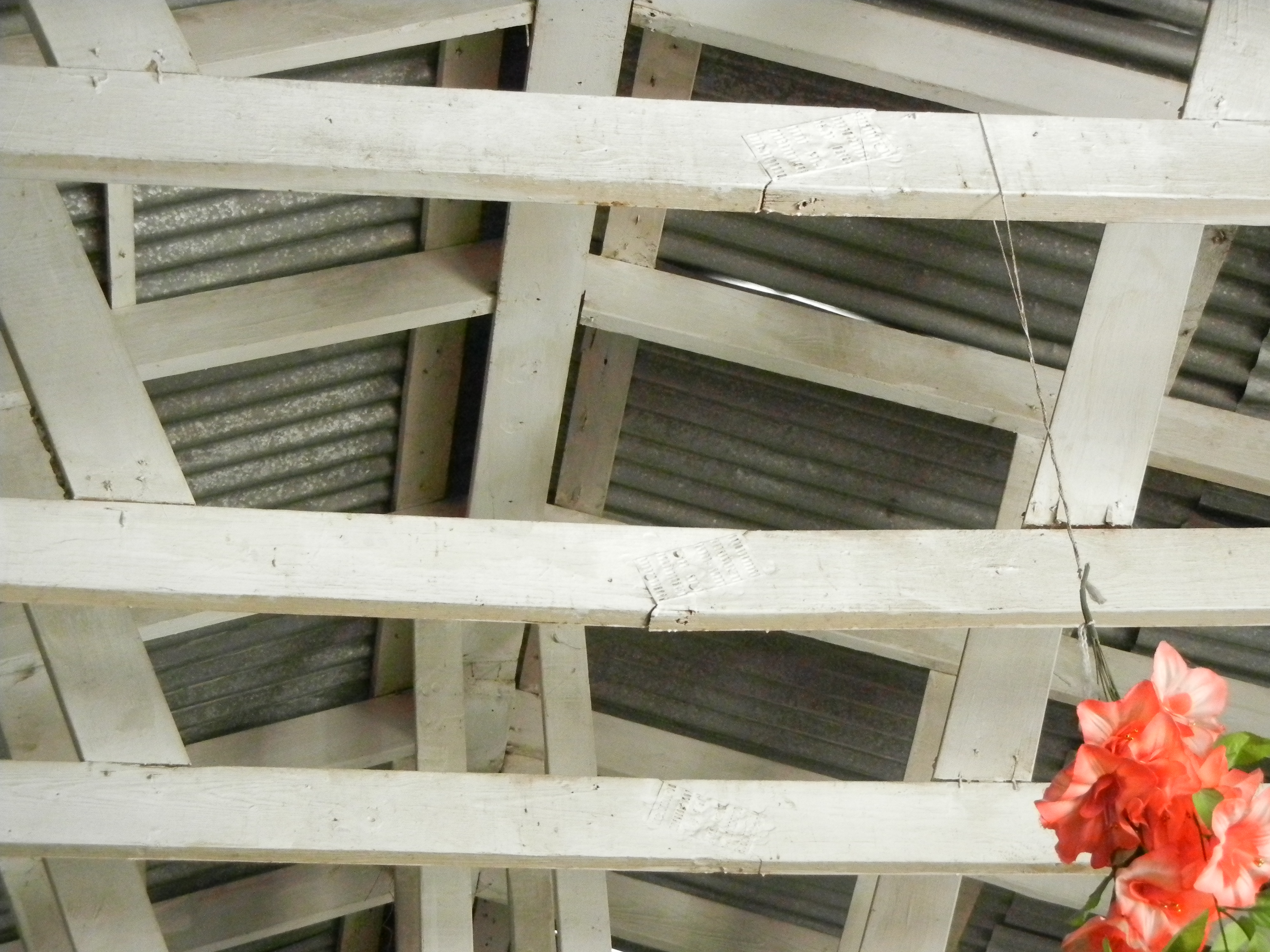 DSCN0909.JPG