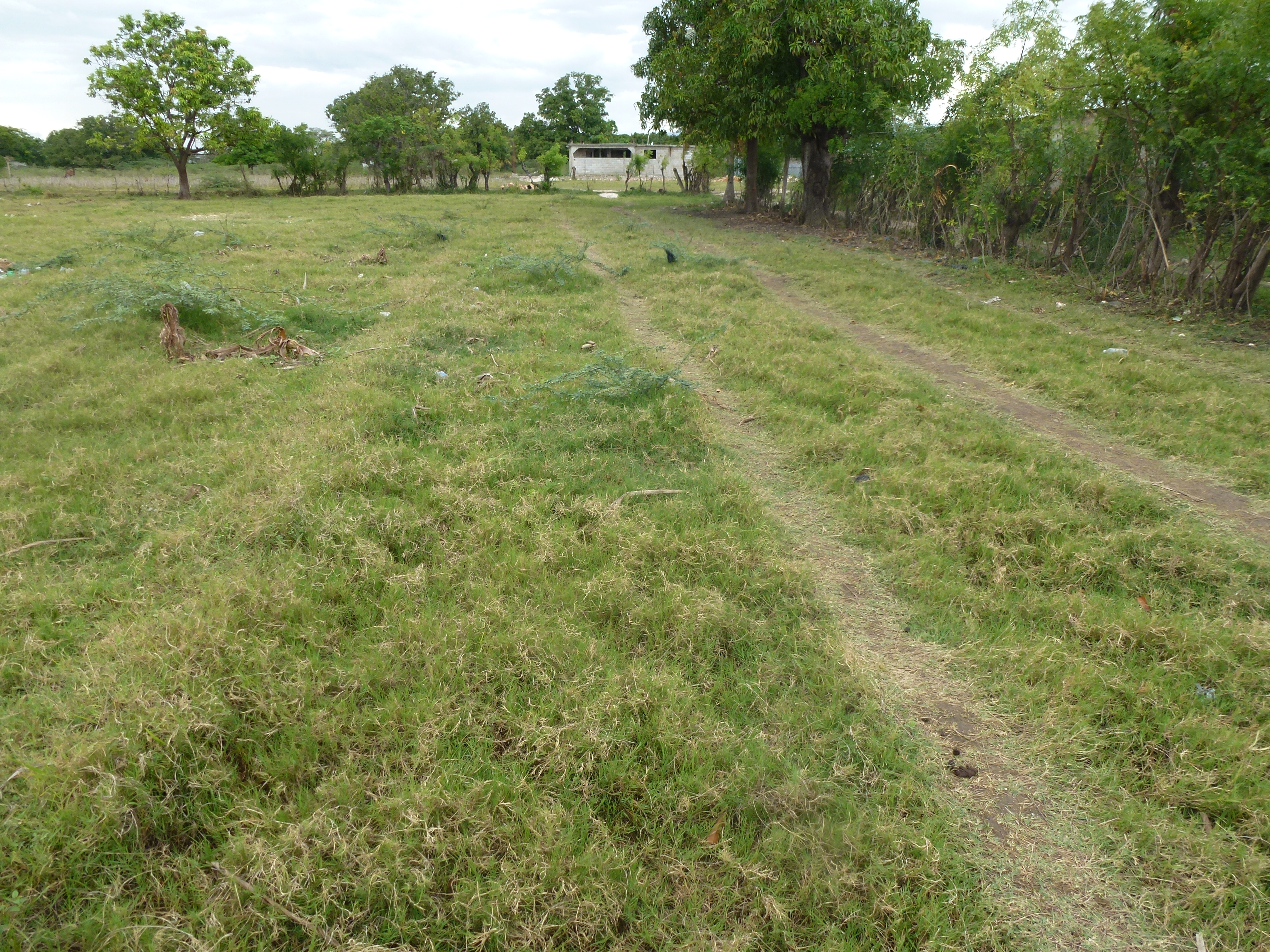 P1000645.JPG