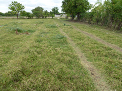 P1000645.JPG