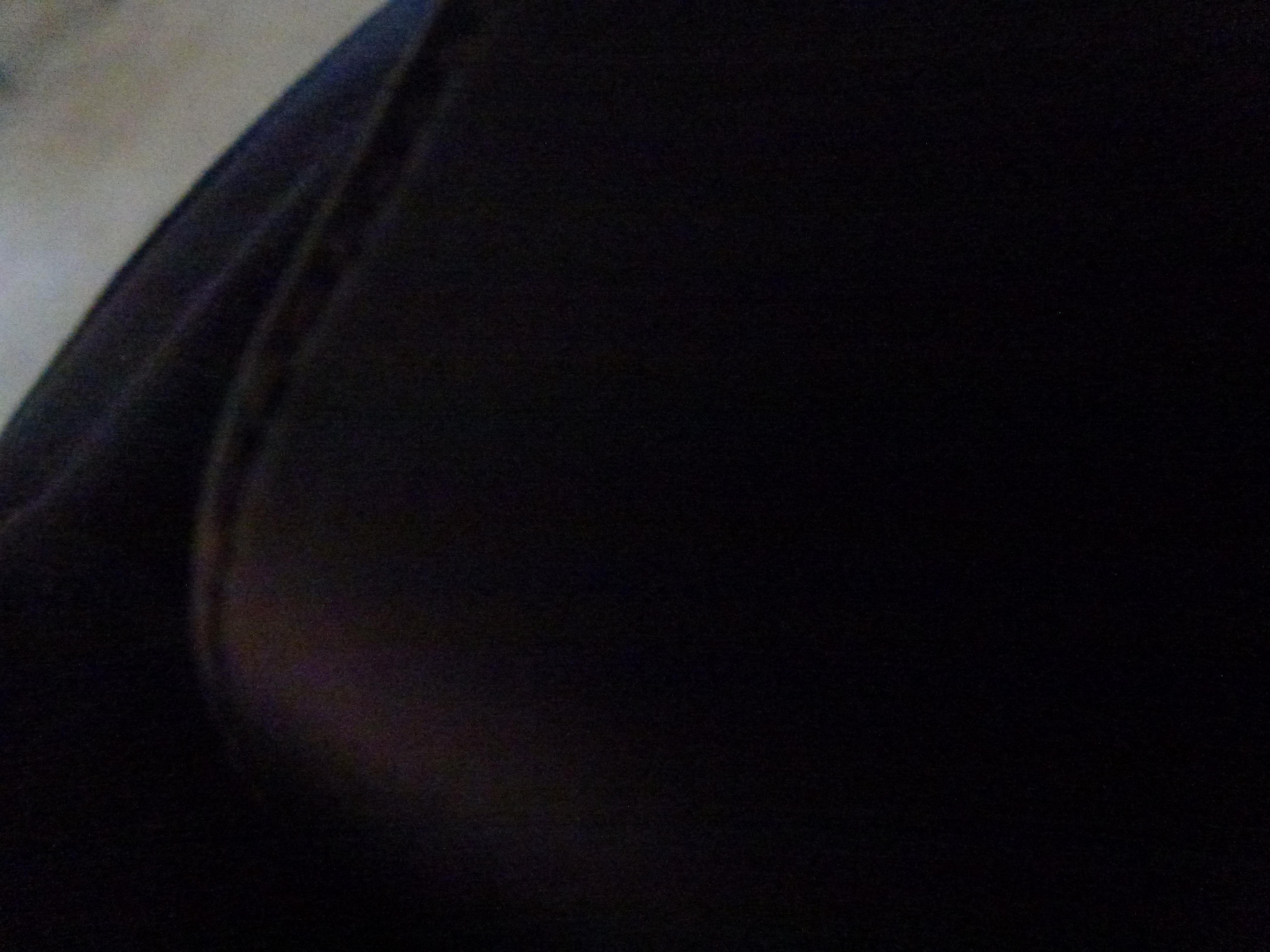 P1010032.JPG
