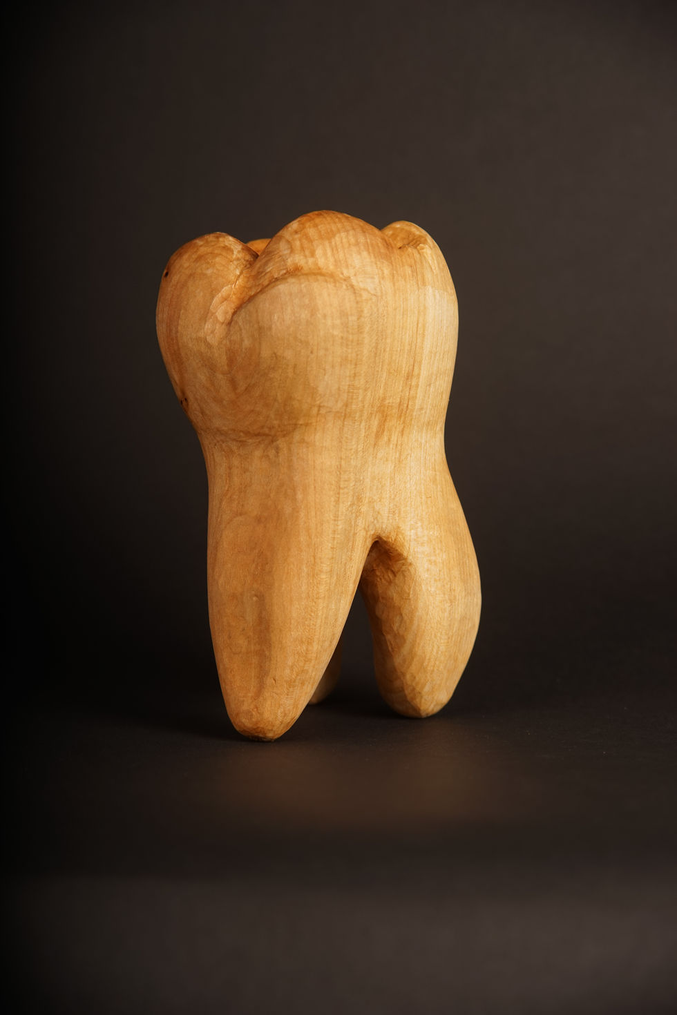 Foto eines geschnitzten Molaren (Backenzahn) mit den Initialen J. G. : Perspektivische ansicht über die rechte Seitenansicht hinaus nach links rotiert.