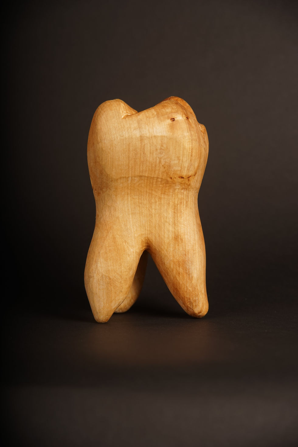 Foto eines geschnitzten Molaren (Backenzahn) mit den Initialen J. G. : Seitenansicht der linken Seite.