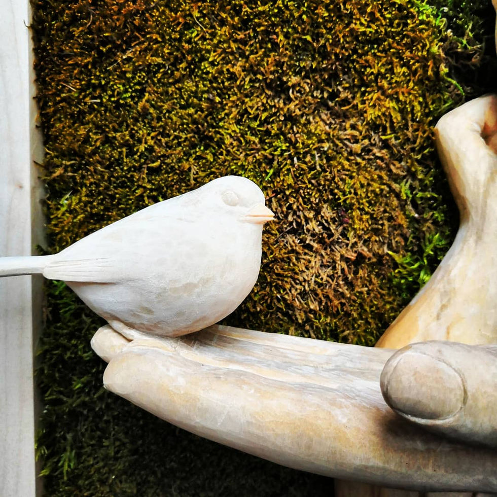 Nahaufnahme des kleinen Vogels, welcher auf der Hand sitzt.
