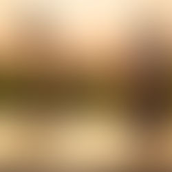 Dein Krafttier: Was es darüber zu wissen gibt