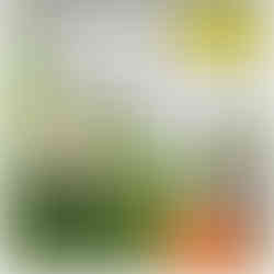 Comiczeichnung, rechts oben in der Ecke steht „Eine Woche später“, Der Besitzer des kleinen Hundes spricht mit dem Schamanen und erzählt ihm, dass der kleine Hund total verändert ist, Er heult den Mond an, frisst Mäuse, jagt Katzen und den Postboten. Zusätzlich knurrt und jault er ständig. Der Schamane hält sich vor Verblüffung den Mund mit der rechten Hand zu 