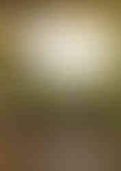 Cover des Buches, welches folgendes zeigt: einen herbstlich leuchtenden Laubwald mit moosbedecktem Stein im Vordergrund, umgeben von warmem Gold- und Grüntönen, die eine mystische und naturverbundene Stimmung erzeugen. Der Titel „Die Heilkunst der Kelten“ erscheint in heller Schrift. Im unteren Bereich das angeschnittene keltische Symbol Triskele.