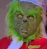 The Grinchy Visit