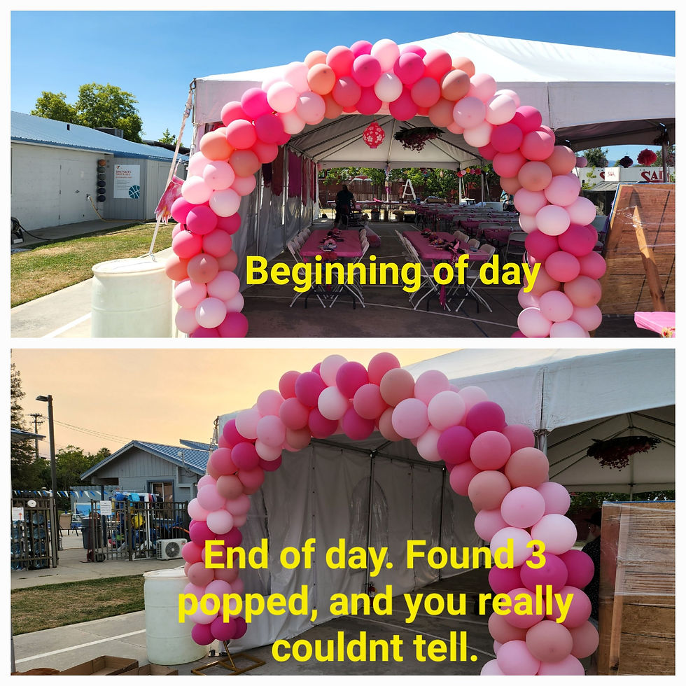 think pink arch frame in or outside