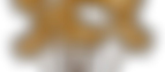 Why You Need Web-hosting