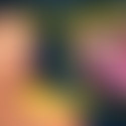 As Versões da Novela Rubi