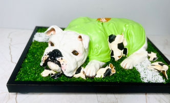 Website Photo 1.jpeg